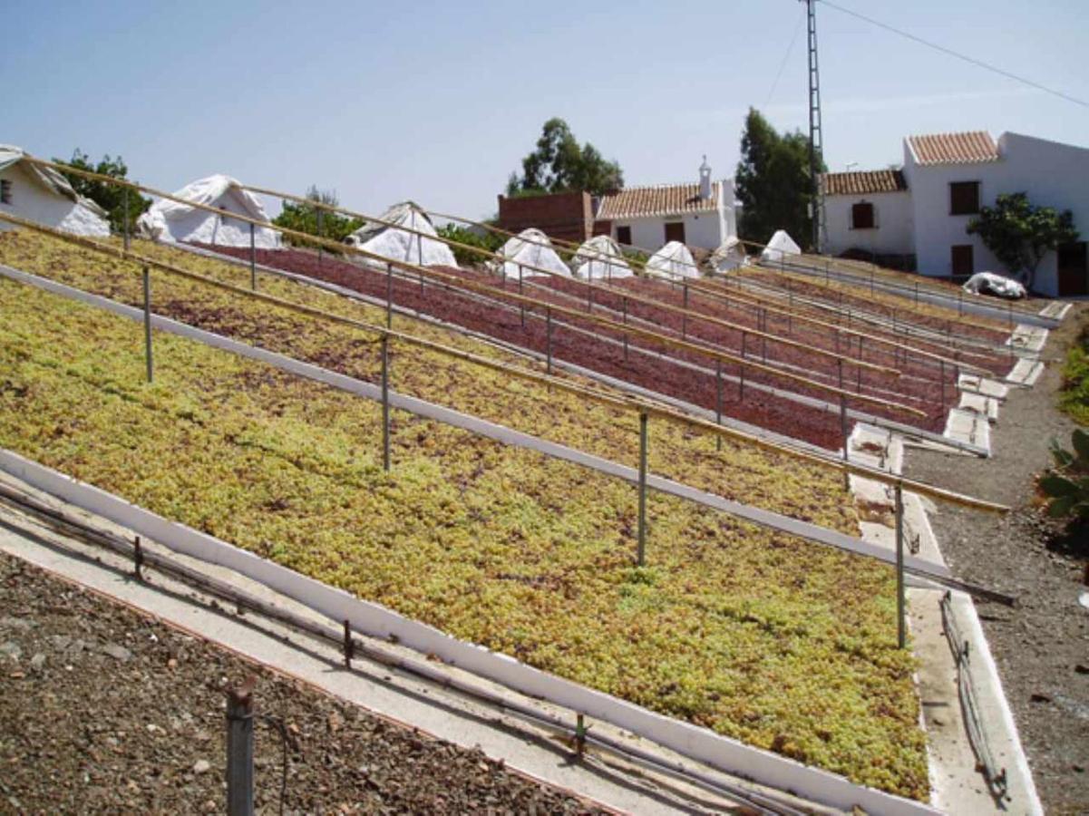Casa Mirador Las Claras Con Piscina Privada Jardin Iznate エクステリア 写真
